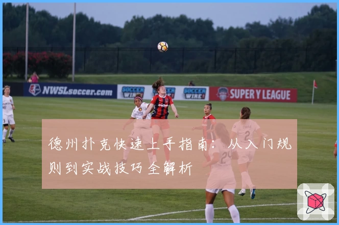 德州扑克快速上手指南：从入门规则到实战技巧全解析