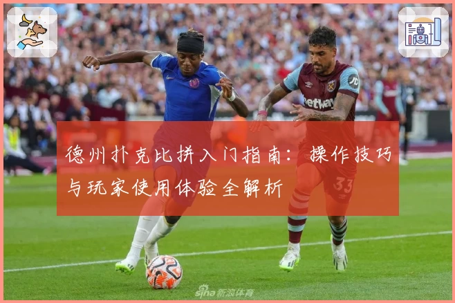 德州扑克比拼入门指南:操作技巧与玩家使用体验全解析