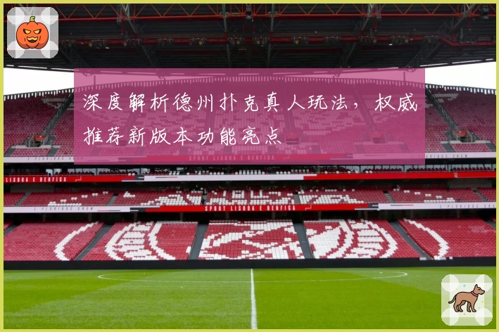 深度解析德州扑克真人玩法，权威推荐新版本功能亮点