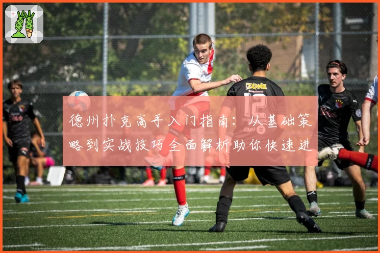 德州扑克高手入门指南：从基础策略到实战技巧全面解析助你快速进阶