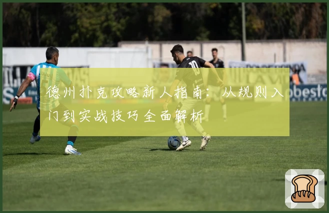 德州扑克攻略新人指南：从规则入门到实战技巧全面解析