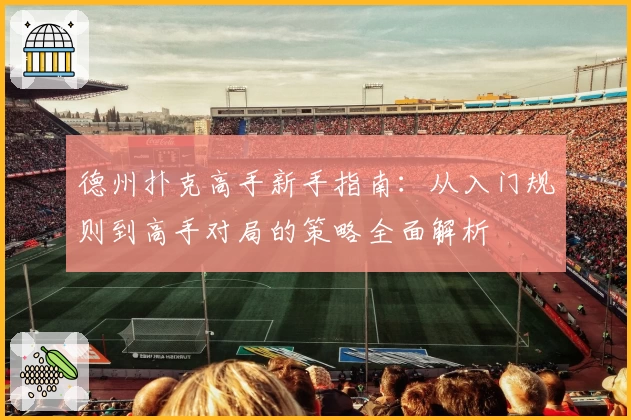 德州扑克高手新手指南：从入门规则到高手对局的策略全面解析