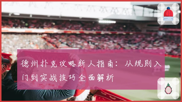 德州扑克攻略新人指南：从规则入门到实战技巧全面解析