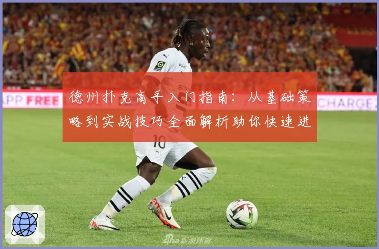 德州扑克高手入门指南：从基础策略到实战技巧全面解析助你快速进阶