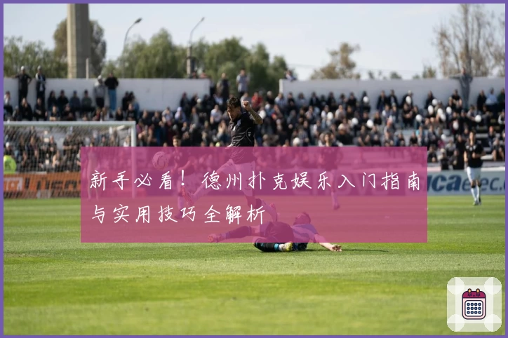 新手必看!德州扑克娱乐入门指南与实用技巧全解析